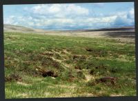 21/28 Above Kit rocks to source of East Dart 21/5/1993