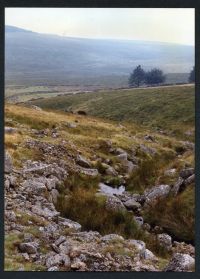 An image from the Dartmoor Trust Archive