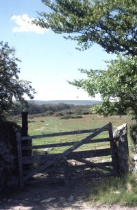 An image from the Dartmoor Trust Archive