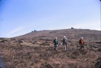 Great & Little Links Tors