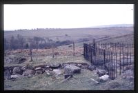 Devonport Leat  near Cowsic