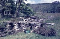 An image from the Dartmoor Trust Archive