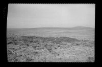 Tumulus near Spurrels cross