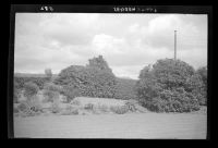 The garden at Stone Hedges