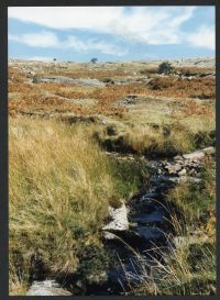 An image from the Dartmoor Trust Archive