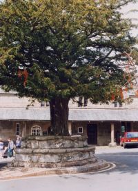 Widecombe-in-the-Moor Plinth