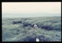 Peat Pass at  Black Ridge