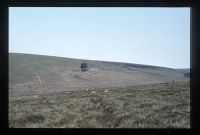 A view of Huntingdon Warren