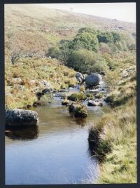 An image from the Dartmoor Trust Archive