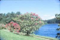 Hennock Reservoir