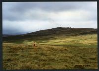 An image from the Dartmoor Trust Archive