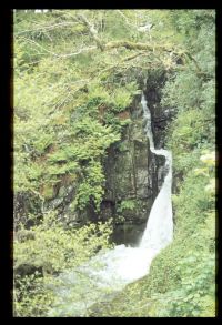 Kitts Steps Waterfall