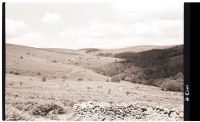 Glaze Brook Valley