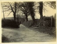 Unknown lane probably near Hele House