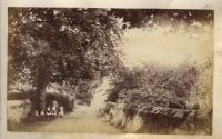 Children in a country lane