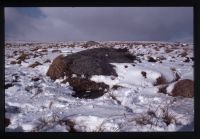 Erme Head "A" Stone in Snow