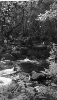 An image from the Dartmoor Trust Archive