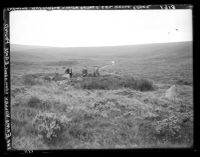 Hut Circle, River Erme Valley