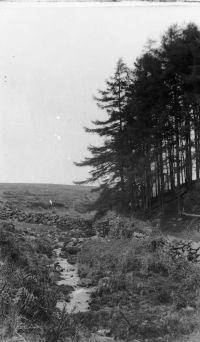 An image from the Dartmoor Trust Archive