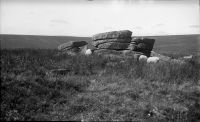 An image from the Dartmoor Trust Archive