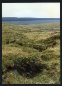 An image from the Dartmoor Trust Archive