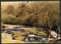 35/19 Avon above Shipley bridge 15/4/1991