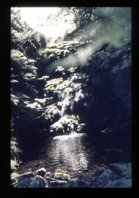 Shavercombe Falls