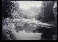 The Manor Grounds, Dawlish