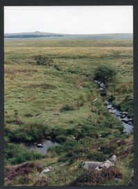 An image from the Dartmoor Trust Archive