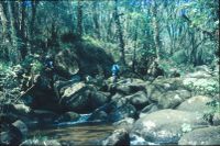 Rocky stream near Horsham