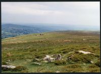 24/29 Old Hilll to Brent Hill 29/5/1991