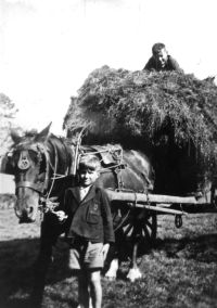 Norman Perryman and Frank Howe bringing in hay