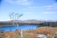 Paignton reservoir