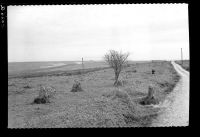 Cholwichtown stone row and tumulus