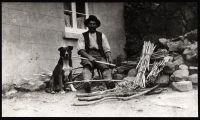 Cutting spar sticks for thatching ricks