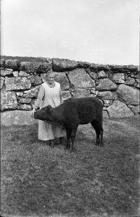 An image from the Dartmoor Trust Archive