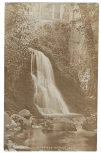 Waterfall in Ivybridge woods.