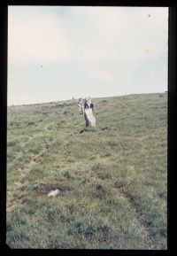 Menhir on Stallmoor