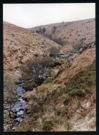 An image from the Dartmoor Trust Archive