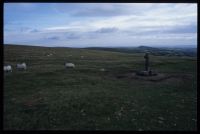 Spurrells cross