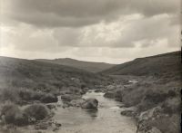 Dartmoor stream