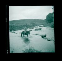 An image from the Dartmoor Trust Archive