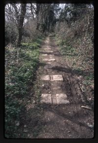 Tyrwhitt tramway - railway setts