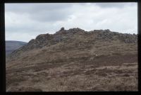 Honeybag Tor