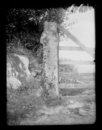 Cholwichtown Farm Cross