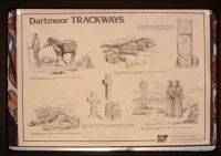 Poster of ancient Trackways