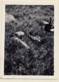 An image from the Dartmoor Trust Archive