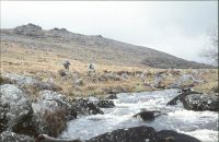 Black Tor on the West Okement River