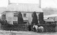 An image from the Dartmoor Trust Archive