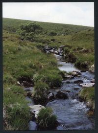 An image from the Dartmoor Trust Archive